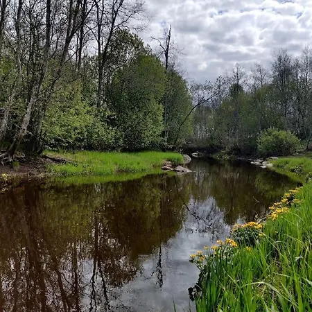 Ilvese Lintsi Joe Kaldal Aenari